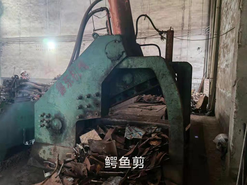  鳄鱼剪